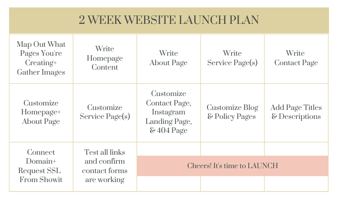 Website Launch Plan